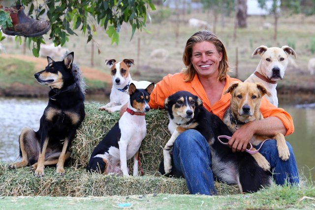 Dave at the Farmer Dave Dog Centre