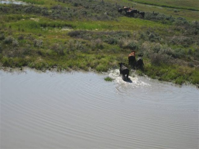 4 weeks later Jan 2011_685