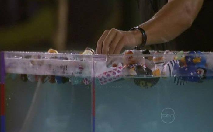 Big Brother Group 107