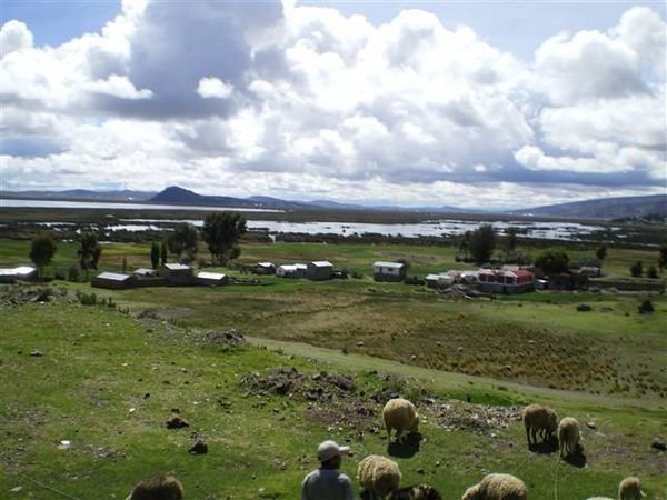 Border_Crossing  564